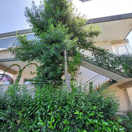 Casa Di Sofia Hotel Castellana Grotte Kültér fotó